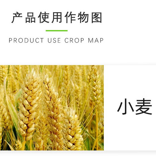 Meta Golden Spike 2% benzylamine alkanol benzylaminopurine triacontanol promotes plant growth rice regulator 100g/bottle