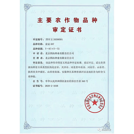 Fruit corn seeds super sweet fresh edible big stick without residue Beijing Sihai Seed Industry Golden Crown 597 corn seed original Golden Crown 597 fruit corn 100g X1