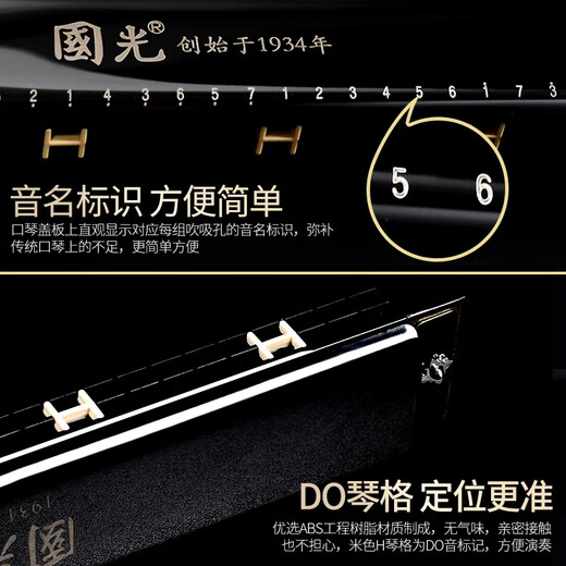 国光口琴28孔重音高级演奏德国进口音簧复音C调初学者入门乐器  28孔复音黑色+学习资料【带音标