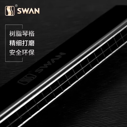 Swan Imported Ring 24-Loch Polyphonic Harmonic C-Tune Advanced Adult Professional Performance Anfänger Instrument Geschenke [professionelle Leistung] 24-Loch-Schwarz-Polyphonische C-Tune
