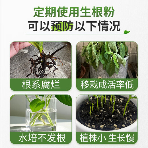 Correction Hualeduo powerful rooting powder plant rapid rooting liquid cutting tree transplanting strong seedlings water-soluble fertilizer flower rooting agent 500g