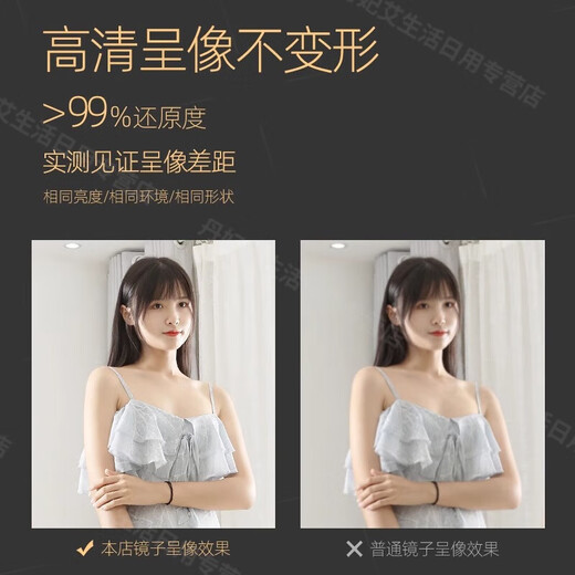 OQB德国高端轻奢风网红全身镜子感落地镜家用壁挂式穿衣镜化妆卧室试 40*150秋叶金高清 可壁挂 可落地