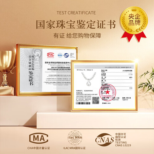 China Gold (CHINA GOLD) Light Luxury Freshwater Pearl Necklace Women's Fashion Jewelry Pendant Birthday Gift for Girlfriend and Wife Wedding Anniversary Freeze Pearl Necklace - Jingsuda