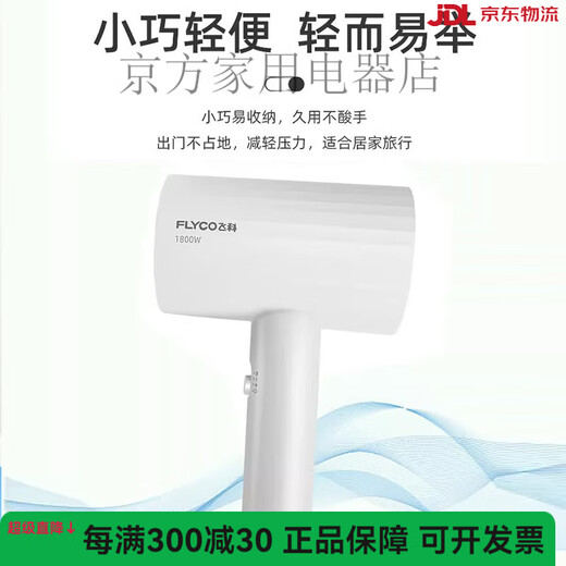 2025 NOUVEAU MÉNAGNE HAUTE puissance haute puissance éolienne Ion négatif à faible bruit Ménage de la maison Température constante Soins de cheveux sans dommage Sèche de cheveux Sécheur Green Fh6296 + Cass de cheveux secs Séchage des cheveux longs