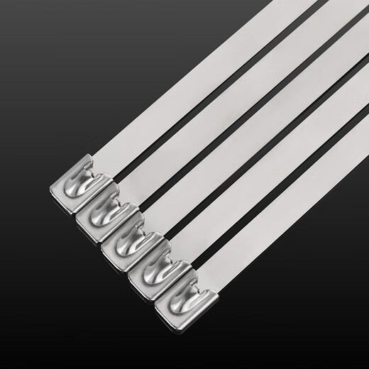 Jinggong (JINGGONG) 304 stainless steel cable ties self-locking tightening outdoor high temperature resistant marine binding metal steel bar tie wire 4.6/7.9MM 4.6*200mm (100 pieces/pack) Discount