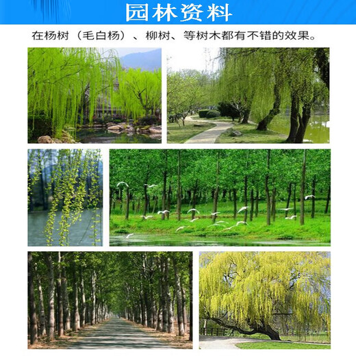Taibang 4% gibberellic acid catkins and poplar catkins inhibitor eliminator willow and poplar catkins to prevent flowering and fruiting 10ml*50