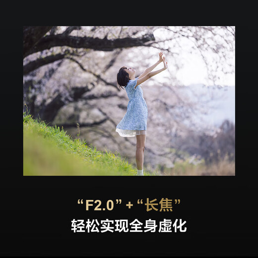 Sony (SONY) FE 50-150mm F2 GM full-frame telephoto zoom G master lens SEL50150GM+ card color MCUV third generation 95mm