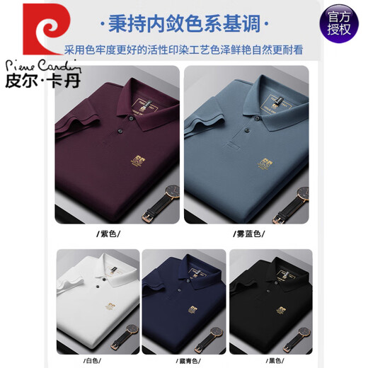皮尔卡丹（pierre cardin）夏季新款纯棉男士短袖POLO衫刺绣翻领T恤大码百搭半袖男装 6626雾蓝色 M 48【建议100-125斤】