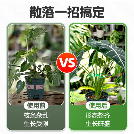 
Monstera plant support pole Flower Phalaenopsis fixed green plant anti-lost gardening flower stand fixture collector [1 set of green] including four sizes