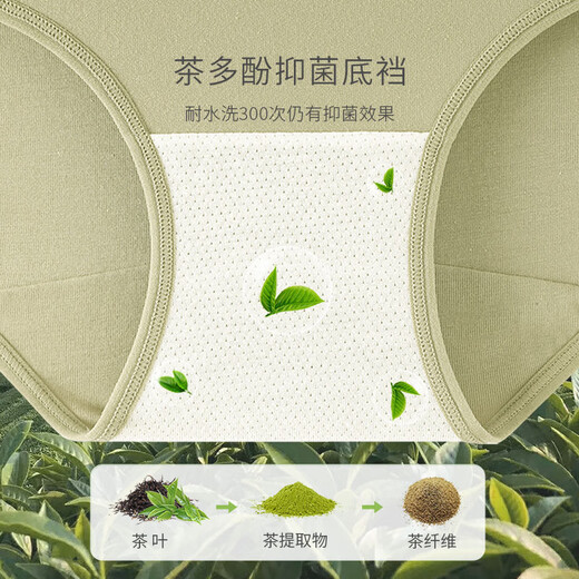 YOUNGYELL Women's Underwear Women's High Waist Pure Cotton 10A Antibacterial Large Size 200Jin Jin equals 0.5kg Seamless Tummy Control and Hip Lifting Women's Underwear 4 Pairs