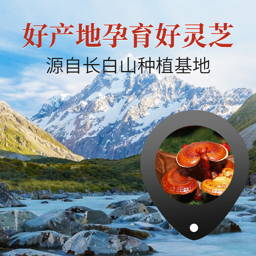 敖东破壁灵芝孢子粉 增强免疫力保健品中老年术后恢复滋补营养品礼品 【10天量】破壁灵芝孢子粉100g
