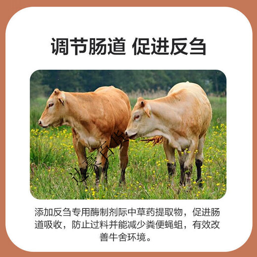 Zhengda Huadong 4 beef cattle premixed calf fattening cattle feed rapid fattening and weight gain without pulling the frame