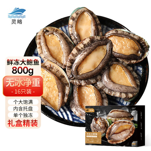 Linglue fresh frozen large abalone, net weight 800g, 16 pieces box, abalone hot pot barbecue, shellfish and seafood, fresh