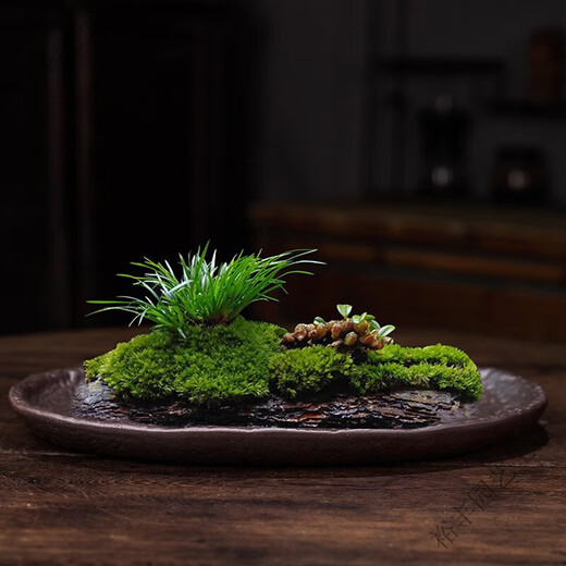 吸水石盆苔藓吸水石盆器盆景盆长方形菖蒲假山上水石水培紫砂陶瓷 盆景盆2677
