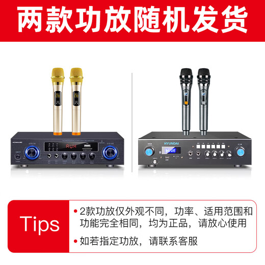 HYUNDAI modern home theater ktv audio set computer TV living room home k song karaoke full set of professional amplifier speaker equipment [hot sale] 10-inch song tuning machine set