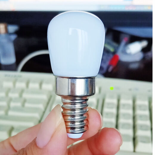 三栖虎T22灯泡冰箱灯E14烤箱灯110V油烟机光源艺术吊灯2WAC220白 E14110V 3000K(暖白)