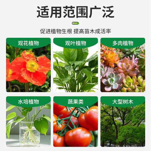 Correction Hualeduo powerful rooting powder plant rapid rooting liquid cutting tree transplanting strong seedlings water-soluble fertilizer flower rooting agent 500g