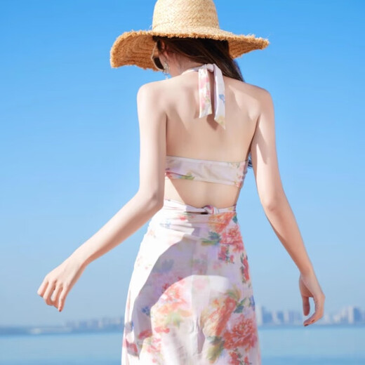 Jin Bingsheng swimsuit, feminine split three-piece set, conservative and high-end, belly-covering, slimming long skirt, hot spring beach vacation swimsuit, pink, with breast pads, L, recommended 110-120 Jin Jin is equal to 0.5 kg