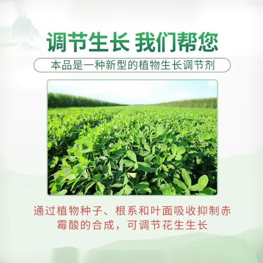 Bixian 10% prohexadienate calcium rice peanut control flourishing shoots, dwarfing and pressing seedlings plant growth regulator pesticide 500g 2 bottles