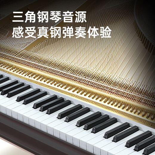 BEIDOCHEN 88 HAUT HAMMER CLÉE ÉLECTRIQUE PIANO POUR ENFANT ADULTANT PIANO ELECTRONIQUE PIANO HOME PROFESSIONNELLE 10