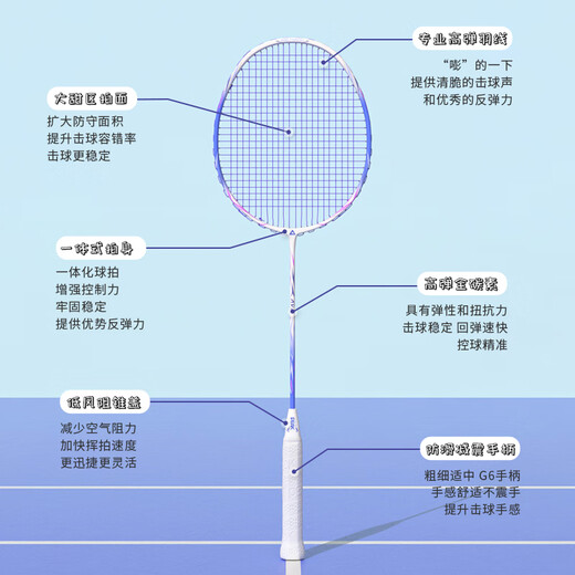 匹克羽毛球拍专业级全碳素超轻耐打双拍碳纤维球拍训练比赛对拍机械姬