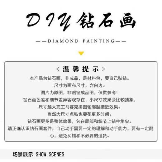 TVAJ2025年高难度文豪野犬钻石画满钻新款带框免裱创意装饰画 YS9898 圆钻-画布30X40厘米+工具+相框
