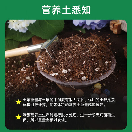 Green nutritional soil for flower cultivation, universal flower soil, potted soil, vegetable planting soil, gardening succulent flower fertilizer soil flower mud