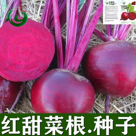 Red beetroot seeds, seaweed heads, beet seeds, original four-season vegetable seeds, fruit seeds, vegetable seeds, red beetroot seeds, original 1 pack, about 350 capsules