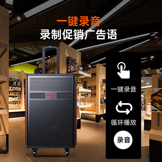 Patriot S615 outdoor square dance audio 15-inch high-power amplifier mobile portable home trolley Bluetooth speaker street stall speaker dual microphone version