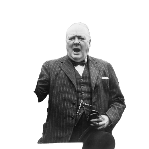 Sweet Churchill Poster Wall Stickers Large Size Room Self-adhesive Bedroom Background Wall Stickers can be customized T15909 Churchill 30*45cm (default hairband glue or not to leave a message)