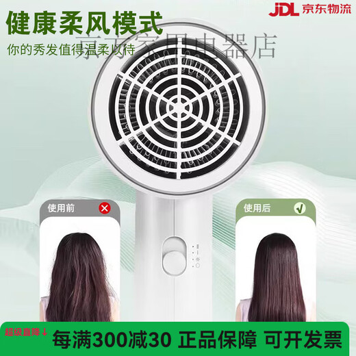 2025 NOUVEAU MÉNAGNE HAUTE puissance haute puissance éolienne Ion négatif à faible bruit Ménage de la maison Température constante Soins de cheveux sans dommage Sèche de cheveux Sécheur Green Fh6296 + Cass de cheveux secs Séchage des cheveux longs