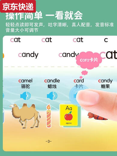 蓝彩何儿童26个英文字母点读书幼儿早教英语单词学习机中英双语有声绘本 专业学拼音点读书--充电款