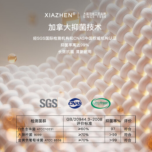 霞珍【羽绒被】95%白鹅绒被芯 5A级80支全棉抗菌鹅绒被 轻盈保暖被子 5A级标准冬被-抗菌升级 150cm*200cm