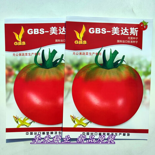 Zhongshu No. 4 unlimited growth tall round fruit tomato seeds tomato seeds disease-resistant medium-ripe vegetables GBS-Meidas 2000 capsules