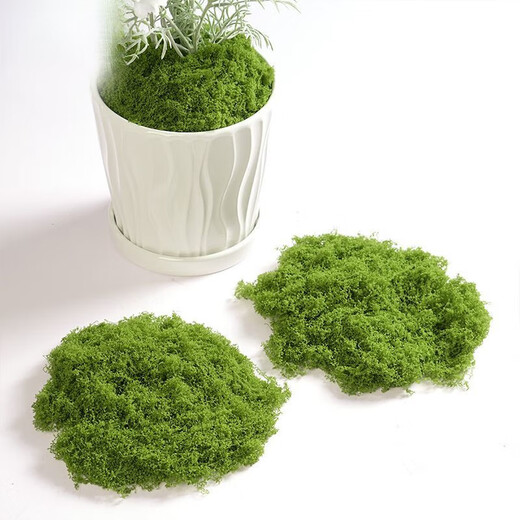 Runhuanian imitation moss landscaping fake moss yarn turf green plants micro landscape plant decoration artificial bionic lawn paving filamentous moss light green 50g can be paved 30*60cm