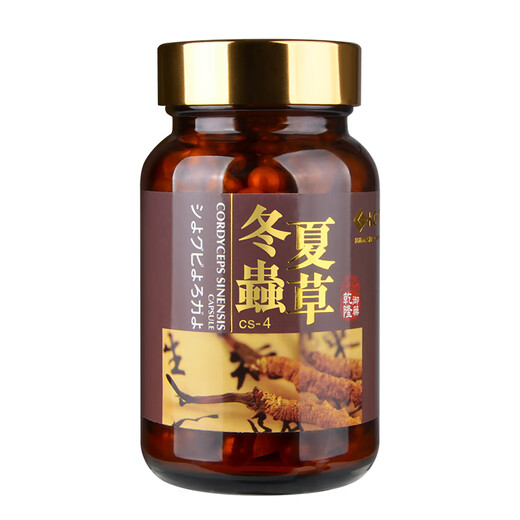 KCH康萃薈香港进口冬虫夏草菌丝体精选虫草胶囊男女滋补品礼盒 单盒礼品装-香港直邮