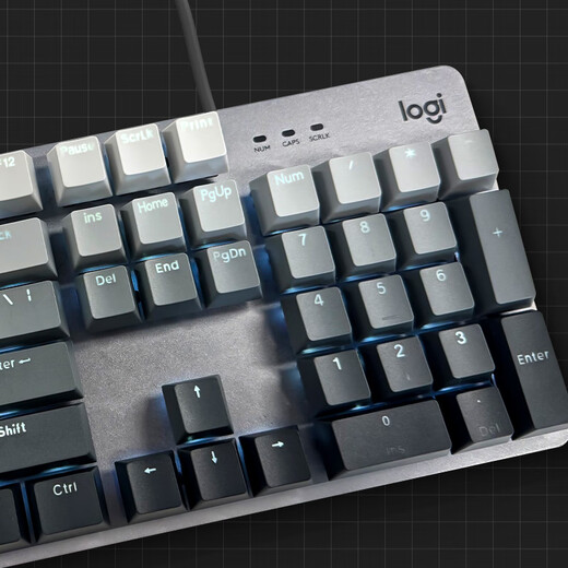 Logitech K845 Mechanische Tastatur Backstreuit Wired Keyboard Game E-Sporttastatur Tea Green und Red Achse Keyboard DIY Keycap Office Game Keyboard und Mausanzug in voller Größe 104 Tastatur K845-Pololy Day Keycap Qing-Achse