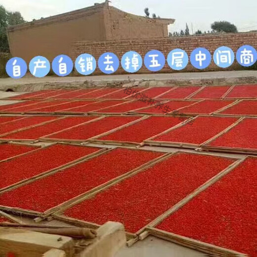 Xiemu ningxia Высококачественное <аутентичное и специальное Wolfberry> Ningxia Выбранная Wolfberry крупные гранулы Zhongning Wolfberry 500g Выбрали большие фрукты 500G [2 банки].