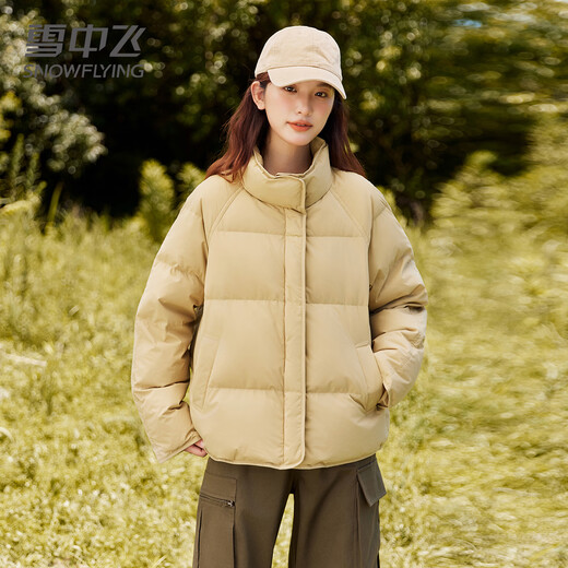 Snow Flying Down Jacket for Women Short 2025 Autumn and Winter New Thickened Warm Stand Collar Small Bread Jacket Coat Gray M (160)