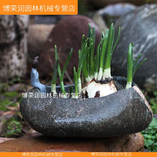 XMSJ优质原花盆花器盆景盆菖蒲铜钱草专用盆文竹盆栽水仙盆石器 升级No.9435