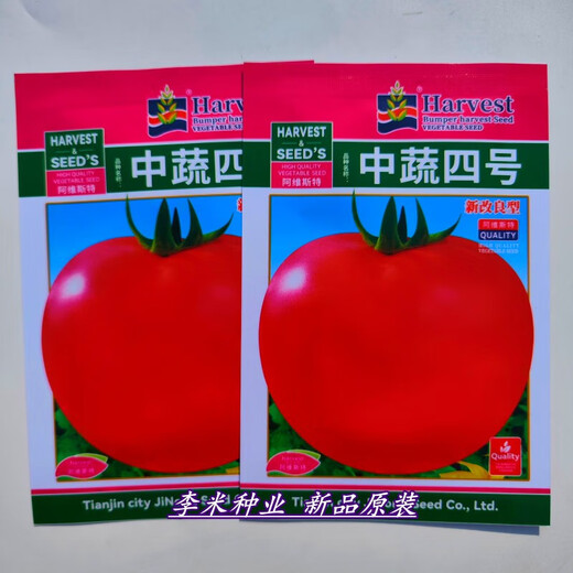 Zhongshu No. 4 unlimited growth tall round fruit tomato seeds tomato seeds disease-resistant medium-ripe vegetables GBS-Meidas 2000 capsules
