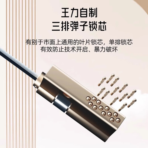 WL王力4级新款铸铝门防盗门家用入户门进户门智能子母门单门大门A200 带屏智能锁（P50升级） 单门2250*1050