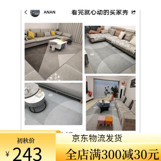 Sala de la alfombra de suye 2024 Nuevo sofá de lujo Sofá Mat de piso de lavable Desperdecimiento de la mesa de café Café de casa Maneta espesa 15601 180*280 cm Estilo espesado mejorado fácil de cuidar