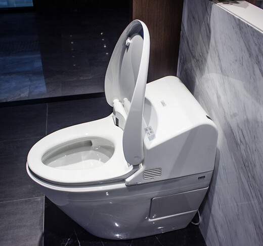 TOTO SMART Toilet CES9433 / 9575/9788/9878/9898/9614 Toilet Hot Instant Intest Instant 300mm 300 mm