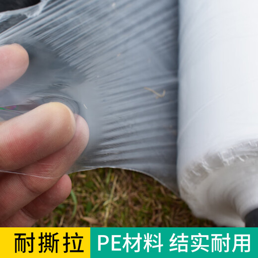 Kezhiyuan Mulch Film Agricultural White Film Vegetable Greenhouse Film Insulation and Moisturizing Orchard Transparent Plastic Engineering Film Planting Protection Film White Full Roll 4.9Jin Jin equals 0.5kg 0.6m wide x 580m long
