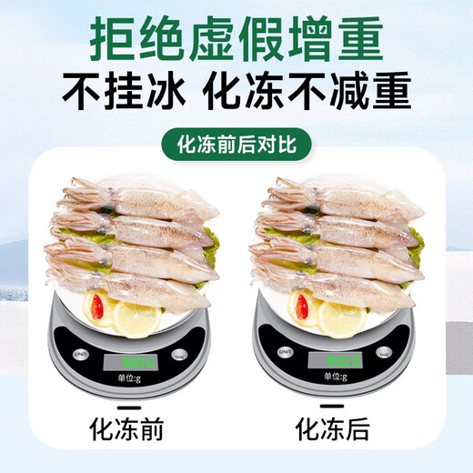 Fishing Travel Notes Whole Seed Pen Tube Fish Net Weight 1000g Contains Ice 0.1kg Squid Sea Rabbit Seed Uman Seeds Soft Pedals with Seeds