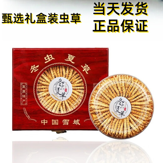 鹿章堂冬虫夏草礼盒装正宗藏区雪山虫草送礼佳品品质保证当天发货 西藏那曲精品虫草3条1克50条