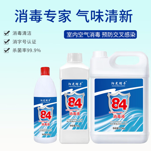 84 disinfectant household indoor clothing bleaching sterilization water toilet deodorant cleaner 84 disinfectant 500g*2 bottles