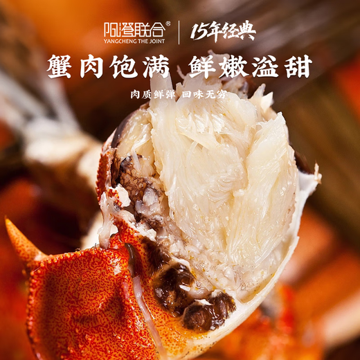 Live Crab Yangcheng United Fresh Hairy Crab Male 4.5-4.8 Female 3.5-3.8 Liang 4 Pairs 8 Crabs Seafood Gift Box
