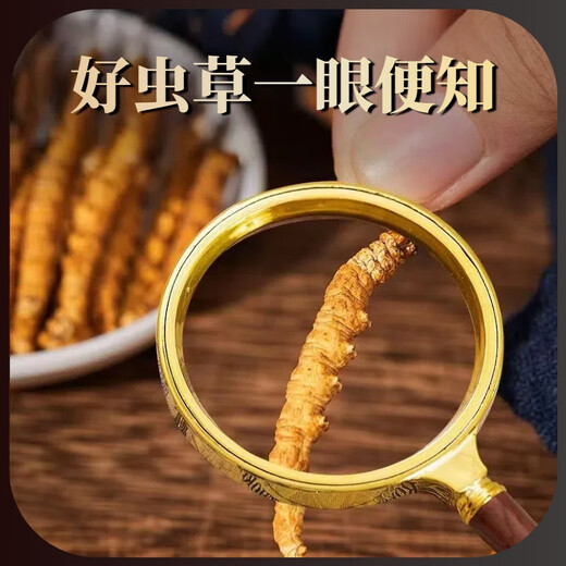 Cordyceps 50 coffre-cadeaux avec de grandes spécifications Cordyceps Hay Généralités de qualité Nourishing Gift 2025 New Cordyceps 50 Boîtes-cadeaux (Spécifications 3 bâtons par gramme)